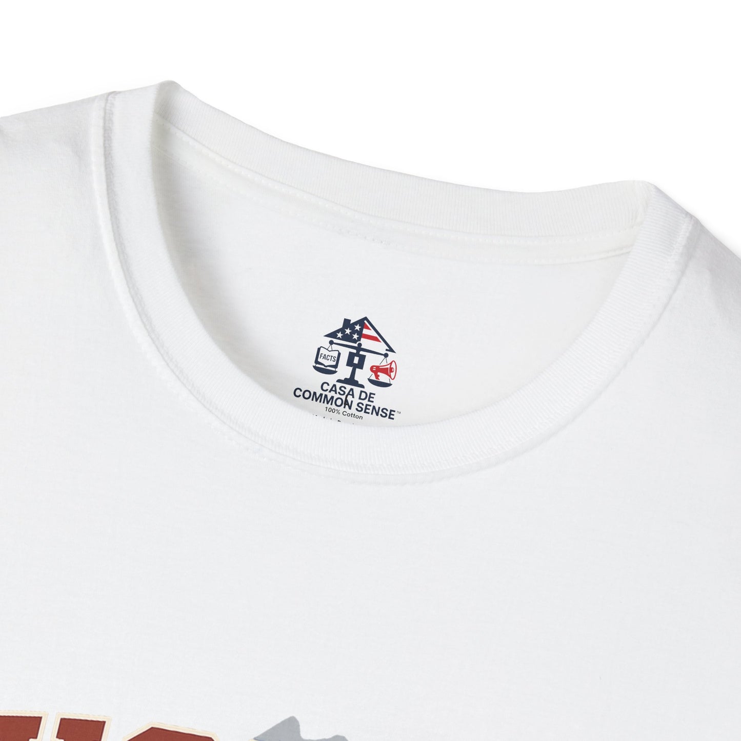 Wicked Patriots for Democracy T-Shirt | Unisex Softstyle Tee for Political Activism, Casual Wear, Gift for Independence Day, Election Day