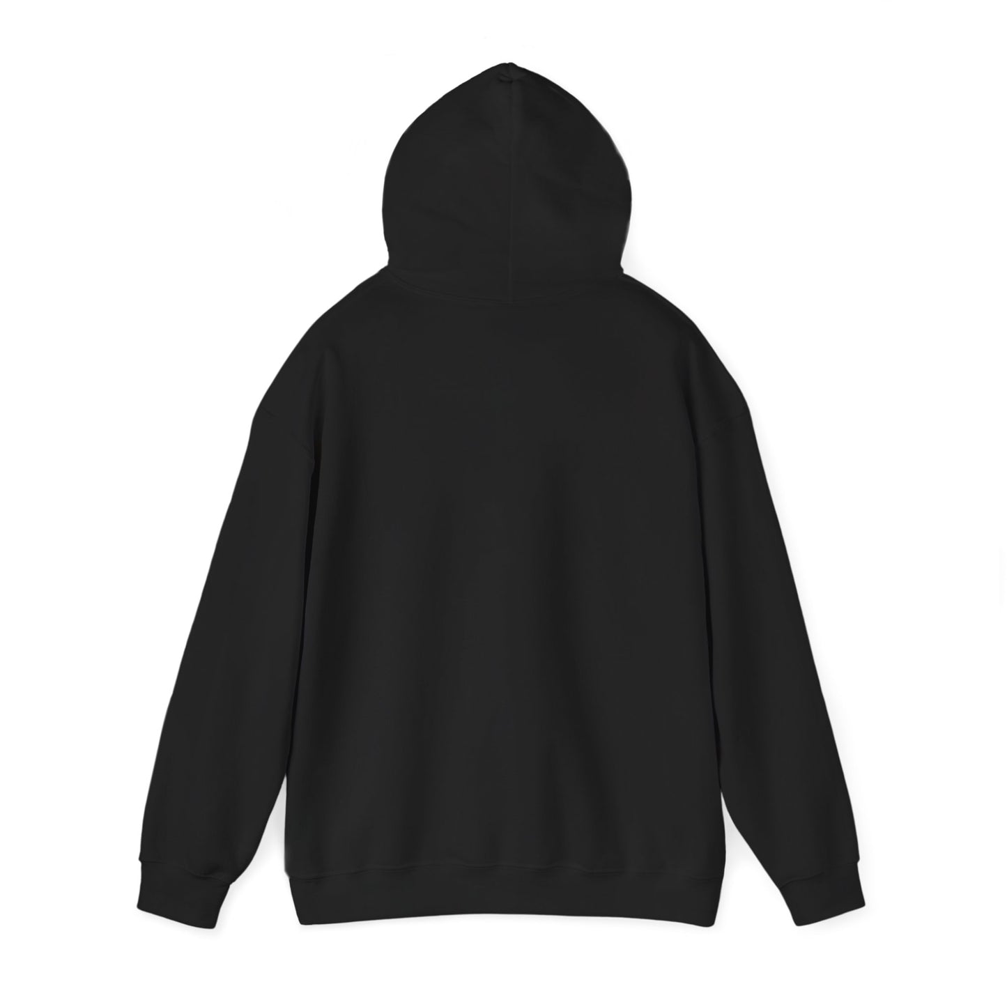 Democracy Themed Hoodie, May Democracy Be With You Sweatshirt, Political Apparel, Activism Gift, Unisex Hooded Sweatshirt, Election [...]