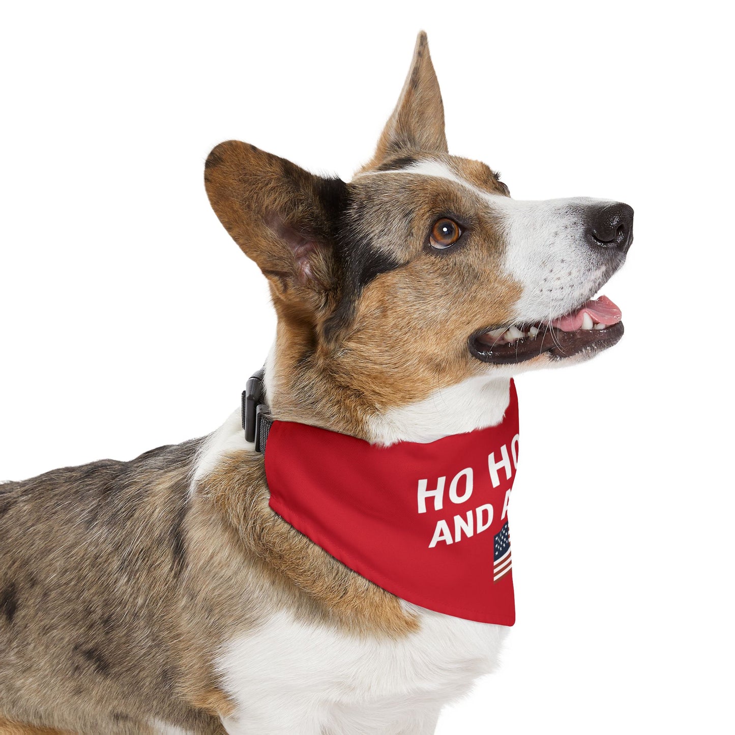 Pet Bandana Collar — "Help Write Description" Design